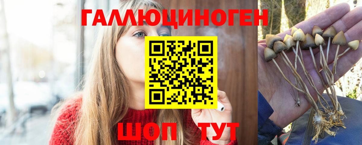 Галлюциногенные грибы прущие грибы Клин